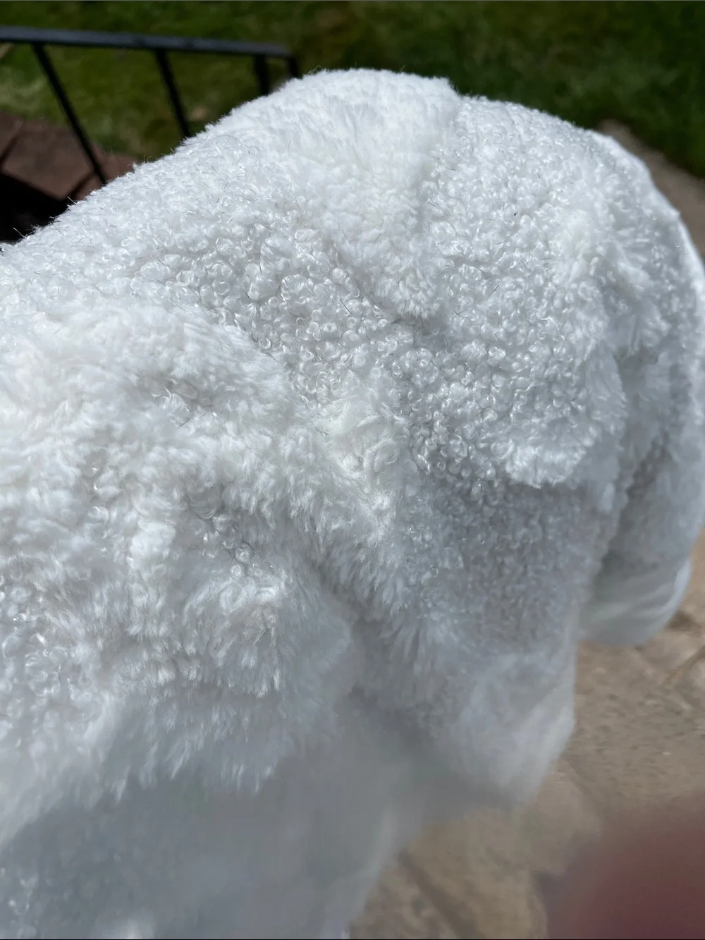 Rachel Zoe Soft Ivory Sherpa Throw Blanket